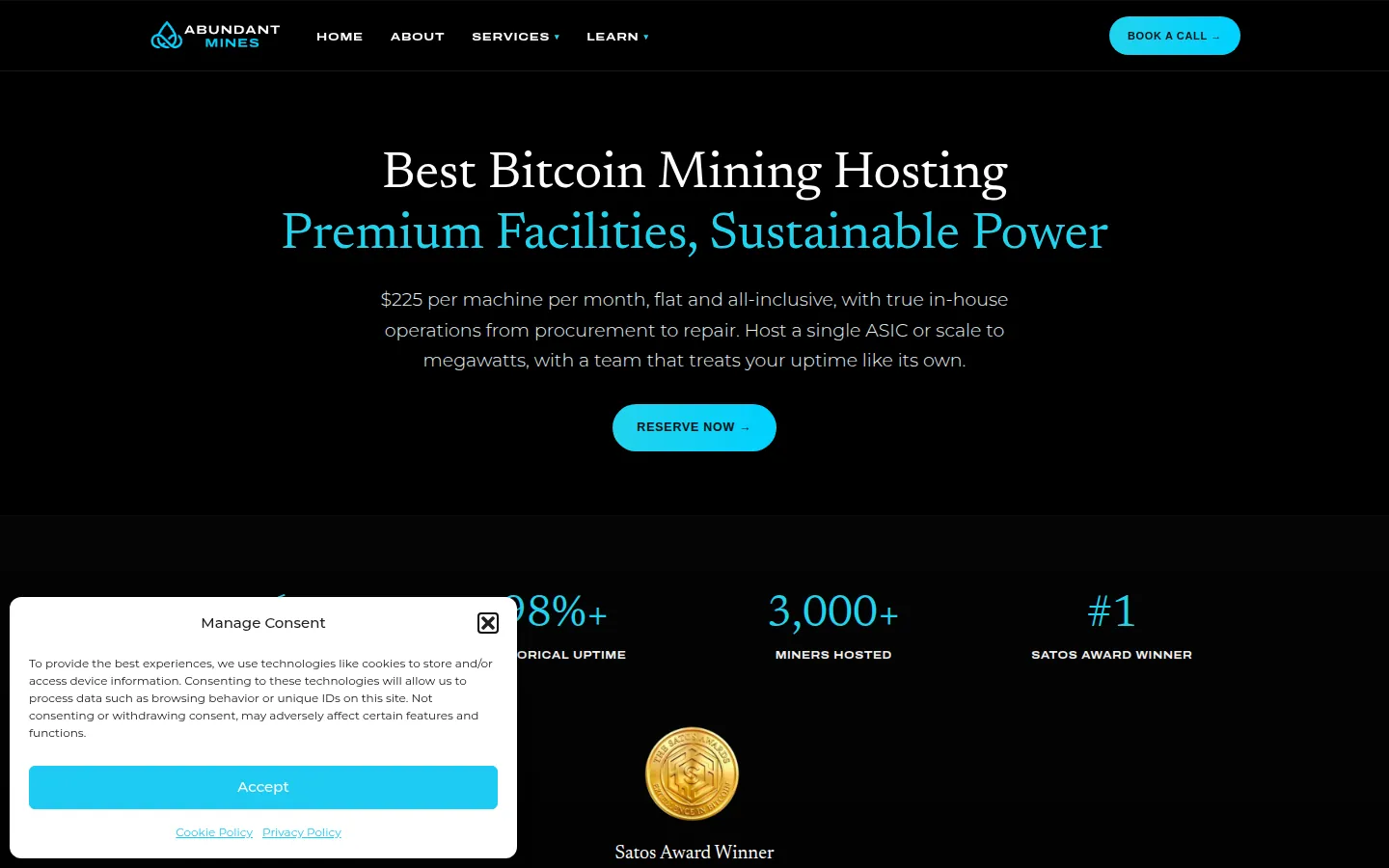 Screenshot: Abundant Mines pricing page